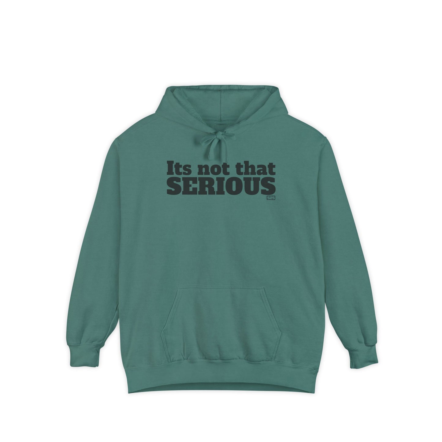 Its not that SERIOUS (hoodie)